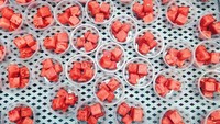  Buah-buahan ini dibersihkan lebih dulu sebelum dipotong kemudian dimasukkan ke dalam wadah plastik untuk pengemasan lebih lanjut. Foto: Brand Insider