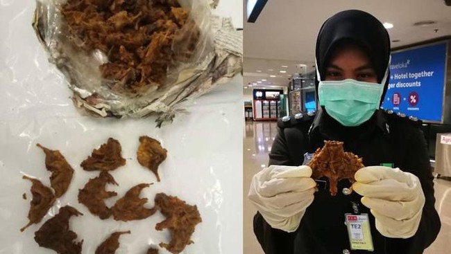 Tak Takut Virus Corona, Orang-orang Ini Tetap Jualan dan Makan Hewan Liar