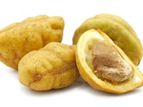 Apa Itu Buah Namnam? Tanaman Langka di Ponorogo yang Kaya Nutrisi