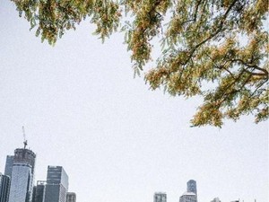 Liburan Keluarga Penuh Keseruan di Brisbane & Gold Coast Australia