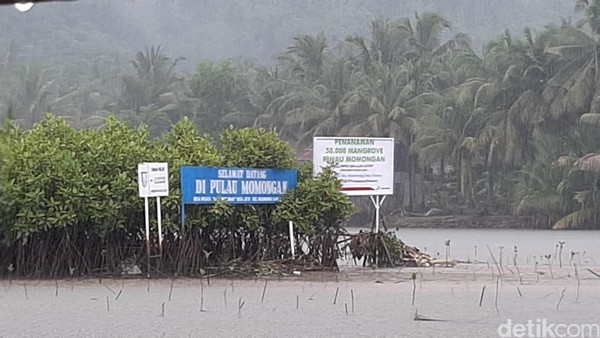 Pulau Momongan yang berada di Desa Jetis, Kecamatan Nusawungu, Kabupaten Cilacap, merupakan daerah paling timur yang berbatasan langsung dengan Kabupaten Kebumen (Foto: Arbi Anugrah/detikcom) Pulau Momongan yang berada di Desa Jetis, Kecamatan Nusawungu, Kabupaten Cilacap, merupakan daerah paling timur yang berbatasan langsung dengan Kabupaten Kebumen (Foto: Arbi Anugrah/detikcom)