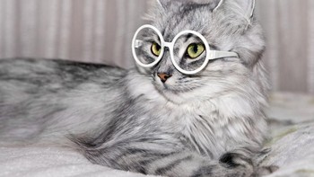 Sedang memantau perkembangan, anti hoax-hoax club soalnya. Foto: Linavita/Shutterstock via Bored Panda