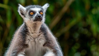 Ekspresi ketika kamu tahu apa yang disebar di grup keluarga kamu adalah hoax. Foto: Jolanda Aalbers/Shutterstock via Bored Panda