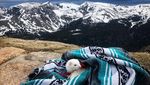 Potret Musang Putih yang Suka Traveling, Kamu Enggak Boleh Ngiri!