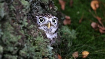 Terakhir, cek lagi sumber berita yang kamu dapat dan selalu waspada wabah virus corona. Stay safe, guys! Foto: Marclschauer/Shutterstock via Bored Panda