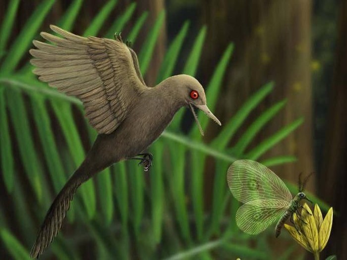 dinosaurus terkecil di dunia