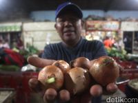 harga bawang bombay per kg