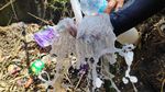 Penampakan Air Susu dari Sumur Bor di Gowa