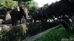 Ragunan hingga Ancol Kerja Keras Halau Corona