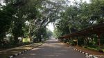 Kebun Binatang Ragunan Ditutup Imbas Corona