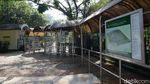 Kebun Binatang Ragunan Ditutup Imbas Corona