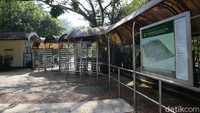 Antrean warga yang biasanya mengular kini sepi tanpa jejak.