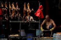 Tak Takut Corona, Perusahaan di China Dorong Masyarakat Tetap Makan Daging Anjing