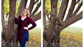 Netizen ingin berada di pohon. Foto: James Fridman 