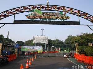 Ragunan Jawab Kabar Kondisi Kecukupan Pakan untuk Satwa
