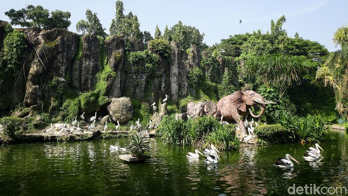 Pemprov DKI Jakarta selama dua pekan ke depan resmi menutup sejumlah tempat wisata di Ibu Kota. Salah satunya Kebun Binatang Ragunan.