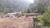 Bila dihitung dari mulai beroperasinya, 2023 nanti usianya menginjak ke-100 tahun. Rencananya, Pemda Bandung akan membangun kembali Radio Malabar dalam bentuk miniatur yang tidak jauh berbeda seperti sebelumnya. (Muhammad Iqbal/detikcom)