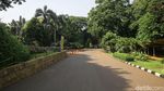 Kebun Binatang Ragunan Ditutup Imbas Corona