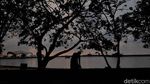 Corona Bikin Pantai Ancol Jadi Perawan