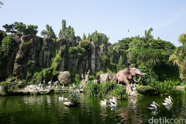 Pusat rekreasi fauna khas Ibu Kota tersebut resmi ditutup pe hari ini, Sabtu (14/3) hingga 29 Maret 2020 mendatang. Grandyos Zafna/detikcom. Pusat rekreasi fauna khas Ibu Kota tersebut resmi ditutup pe hari ini, Sabtu (14/3) hingga 29 Maret 2020 mendatang. Grandyos Zafna/detikcom.