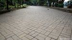 Ncang-Ncing  Nyak-Babe, Setu Babakan Ditutup Sementara