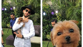 Ketika netizen meminta orang yang di belakangnya dihilangkan. Hasilnya? Foto: James Fridman 