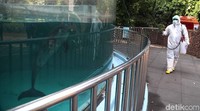 Menyikapi merebaknya wabah virus corona di Indonesia khususnya DKI Jakarta, serta sesuai instruksi Gubernur Provinsi DKI Jakarta, kawasan Ancol resmi ditutup sementara.