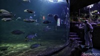 Sebagai kawasan wisata yang kerap dikunjungi ribuan pengunjung setiap harinya, Taman Impian Jaya Ancol akan melakukan penutupan sementara waktu seluruh unit rekreasi yang ada didalamnya seperti: Kawasan Pantai, Dunia Fantasi, Atlantis Water Adventures, Ocean Dream Samudra dan Sea World Ancol. 
