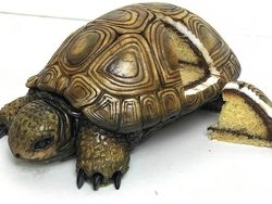 Keren! Deretan Gambar Ilusi yang Menakjubkan