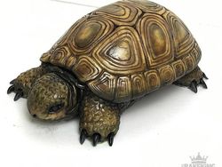 Keren! Deretan Gambar Ilusi yang Menakjubkan