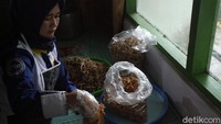 Tak hanya berhasil memutar roda perekonomian warga di kawasan Kamojang, usaha keripik jamur ini juga turut memberdayakan sejumlah warga dengan status janda untuk dibina agar dapat memproduksi keripik jamur tersebut.