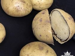 Keren! Deretan Gambar Ilusi yang Menakjubkan