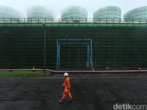 Simak! 6 Hal Ini Bisa Bantu RI Bebas Emisi Karbon di 2060
