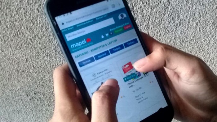 PT. Mapel Teknologi Indonesia memperkenalkan aplikasi Market Place mapel.co.id di Jakarta, Minggu (15/3/2020). Belanja senang harga senang itulah yang ingin diciptakan.