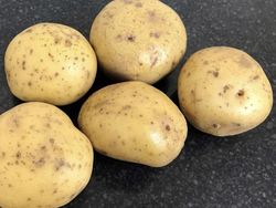 Keren! Deretan Gambar Ilusi yang Menakjubkan