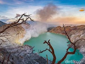 Cegah Penyebaran Corona, Banyuwangi Tutup Sementara Destinasi Wisata