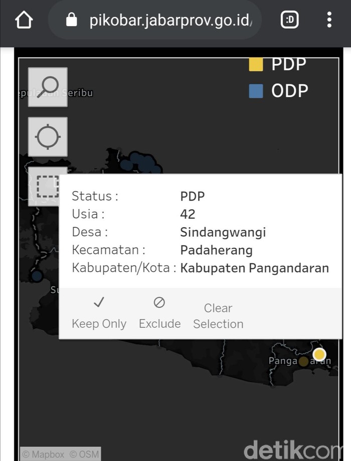 Tangkapan layar website Pikobar