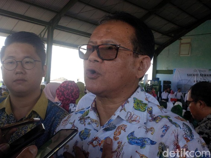 Makan ikan ternyata bisa meminimalisir penularan Corona pandemik