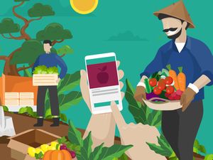Berkat Teknologi, Belanja Sayur Bisa di Hape