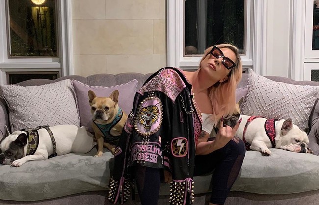 Lady Gaga juga melakukan social distance atau mengisolasi diri. Lady Gaga mengatakan bahwa dia dan anjingnya akan berada di rumah dan memutuskan untuk tidak pergi ke rumah kakek dan neneknya. Aku berharap bisa bertemu dengan orangtua dan kakek-neneku sekarang tapi ini lebih aman agar mereka tidak sakit kalau aku terinfeksi. Aku di rumah bersama anjing-anjingku, tulisnya di Instagram. Foto: Instagram/@ladygaga
