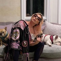 Lady Gaga juga melakukan social distance atau mengisolasi diri. Lady Gaga mengatakan bahwa dia dan anjingnya akan berada di rumah dan memutuskan untuk tidak pergi ke rumah kakek dan neneknya. Aku berharap bisa bertemu dengan orangtua dan kakek-neneku sekarang tapi ini lebih aman agar mereka tidak sakit kalau aku terinfeksi. Aku di rumah bersama anjing-anjingku, tulisnya di Instagram. Foto: Instagram/@ladygaga