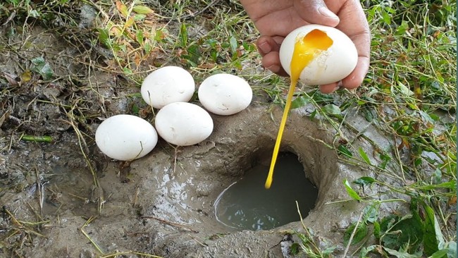 Permen hingga Minuman Soda, Umpan Unik Buat Mancing Ikan Lele