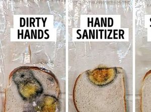 Percobaan Roti Berjamur Tunjukkan Kuman dan Virus Tak Bisa Mati dengan Hand Sanitizer