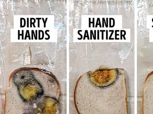 Percobaan Roti Berjamur Tunjukkan Kuman dan Virus Tak Bisa Mati dengan Hand Sanitizer