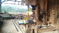 Bermacam peralatan pemotongan kayu juga disita. Istimewa/KLHK.