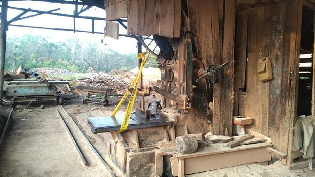 KLHK Tangkap 7 Pelaku Illegal Logging di Sumsel dan Jambi, Cukong Dikejar