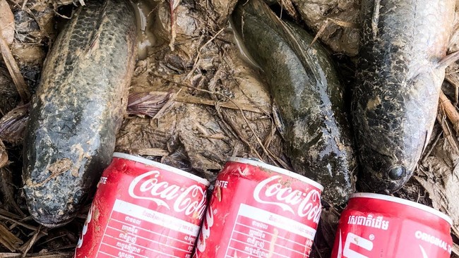 Permen hingga Minuman Soda, Umpan Unik Buat Mancing Ikan Lele Permen hingga Minuman Soda, Umpan Unik Buat Mancing Ikan Lele