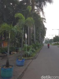 Sekolah Diliburkan, Lalu Lintas di Kemang Bekasi Lengang