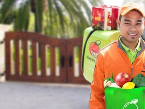 Tanpa Keluar Rumah, Bisa Belanja Sayur Online di 5 Situs Ini