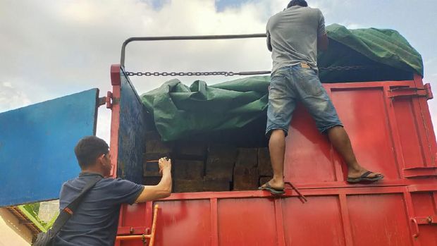 KLHK Tangkap 7 Pelaku Illegal Logging di Sumsel dan Jambi, Cukong Dikejar